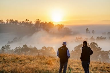 Property 276 Farm Road, BONALBO NSW 2469 IMAGE 0