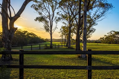 Property 31 Calabash Road, Arcadia NSW 2159 IMAGE 0