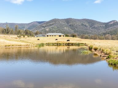 Property 277 Bourkes Road, Cobargo NSW 2550 IMAGE 0