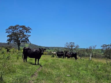 Property Lot 32 Haden Crows Nest Rd, Pinelands QLD 4355 IMAGE 0