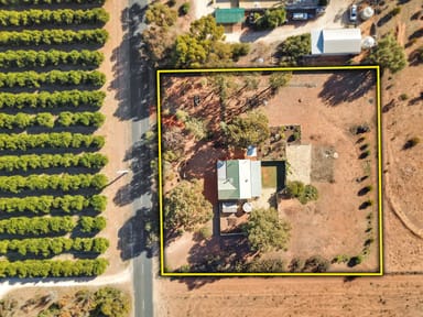 Property 231 Vasey Road, Waikerie SA 5330 IMAGE 0