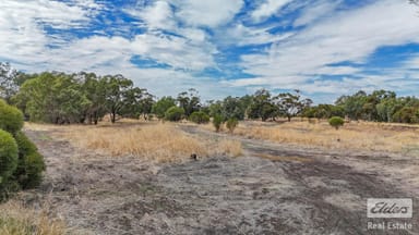 Property 29574 & 29 Spencers Brook Road, Spencers Brook WA 6401 IMAGE 0