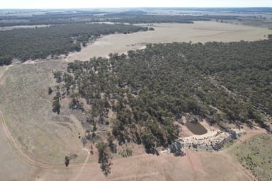 Property 1826 Tallimba Road, WEST WYALONG NSW 2671 IMAGE 0