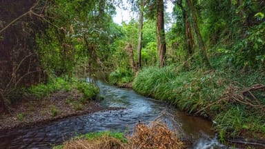 Property 102 Long Road, Pie Creek QLD 4570 IMAGE 0