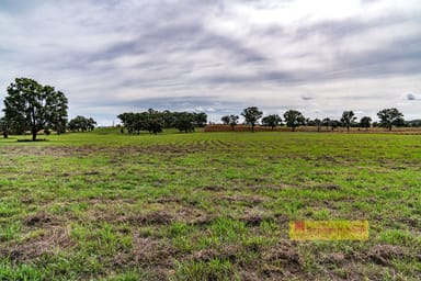 Property 3, 68 Bergalin Road, Gulgong NSW 2852 IMAGE 0