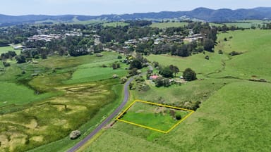 Property 97 Whisky Creek Road, DORRIGO NSW 2453 IMAGE 0