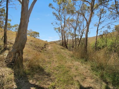 Property 1, 9320 Great Alpine Road, OMEO VIC 3898 IMAGE 0