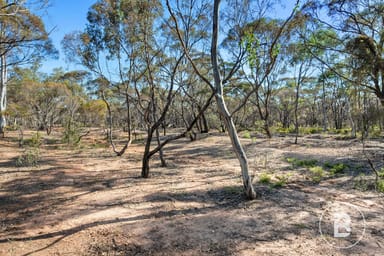 Property CA 127E McDonald Road, Llanelly VIC 3551 IMAGE 0