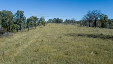 Property 1211 Macintyre Road, BARRABA NSW 2347 IMAGE 0