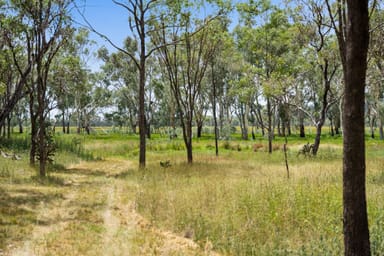 Property "Keheler Park" Lot89 Springate Lane, Pratten QLD 4370 IMAGE 0