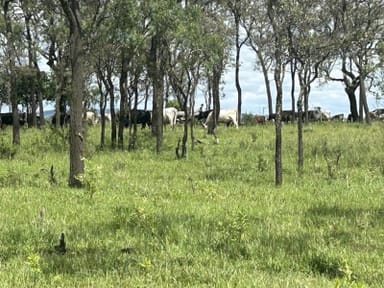 Property Lot 50 Rosenberger Road, WYREEMA QLD 4352 IMAGE 0