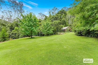 Property 87 Kingtree Lane, Cedar Brush Creek NSW 2259 IMAGE 0