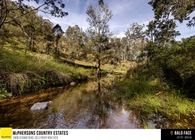 Property McPhersons Country Estates, Enfield Range Road, Cells River NSW 2424 IMAGE 0