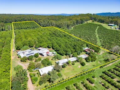 Property 343 Commissioners Flat Road, Peachester QLD 4519 IMAGE 0