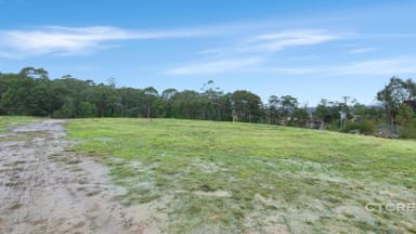 Property 181 Tamboon Road, Cann River VIC 3890 IMAGE 0