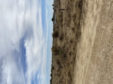 Property KERANG EAST VIC 3579 IMAGE 0