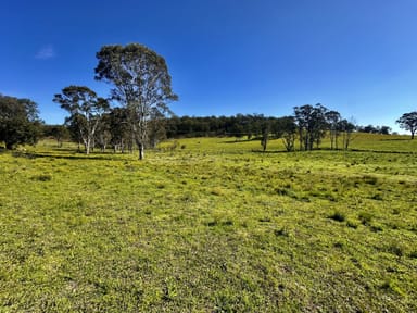 Property Part Of 3066 Great North Road, Wollombi NSW 2325 IMAGE 0