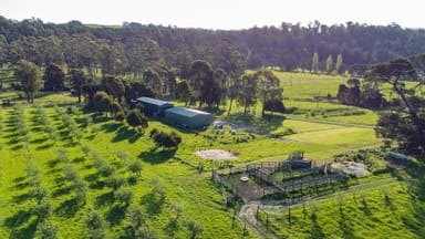 Property Lot 6 Turkey Farm Road, Glengarry TAS 7275 IMAGE 0