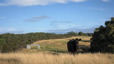 Property Lot 2 Turrong Rd, COORIEMUNGLE VIC 3268 IMAGE 0