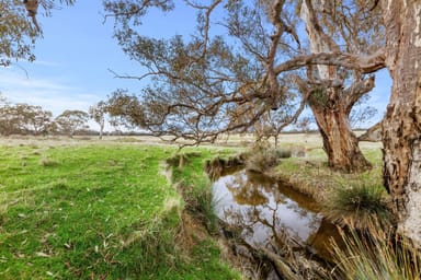 Property 2505 Seymour-Tooborac Road, Tooborac VIC 3522 IMAGE 0