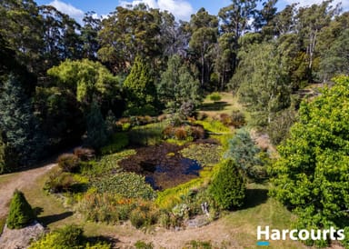 Property 3816 West Tamar Highway, Beaconsfield TAS 7270 IMAGE 0