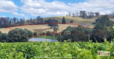 Property Lot 2 Storys Road, Lebrina TAS 7254 IMAGE 0