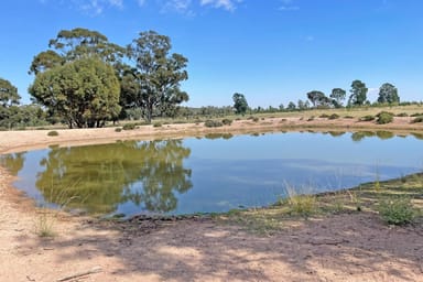 Property 260 Dilladerry Road, Tomingley NSW 2869 IMAGE 0