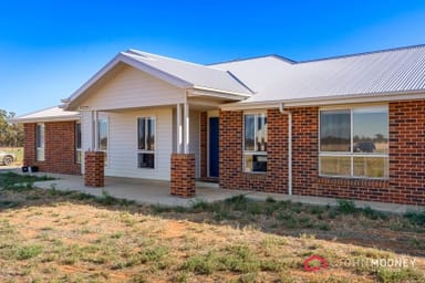 Property 40 Kurrajong Street, Coolamon NSW 2701 IMAGE 0