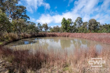 Property 11, 2530 Torrington Road, TORRINGTON NSW 2371 IMAGE 0