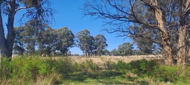 Property Lot 6, 2202 Wellington Vale Road, EMMAVILLE nsw 2371 IMAGE 0