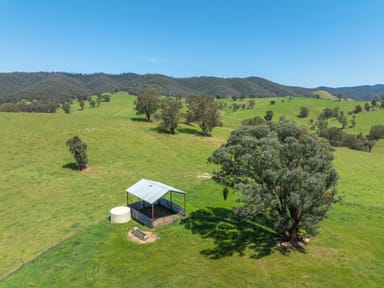 Property 244 Buchan Ensay Road, REEDY FLAT VIC 3895 IMAGE 0