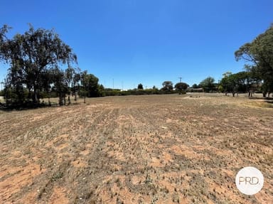 Property Lot 1 & 2 Ussing Street, WOOMELANG VIC 3485 IMAGE 0