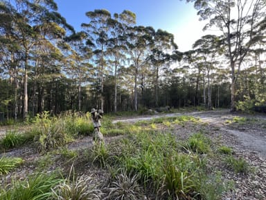 Property 71 Karri Drive, KENTDALE WA 6333 IMAGE 0