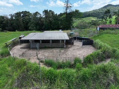 Property 659 Middlebrook Road, Millaa Millaa QLD 4886 IMAGE 0