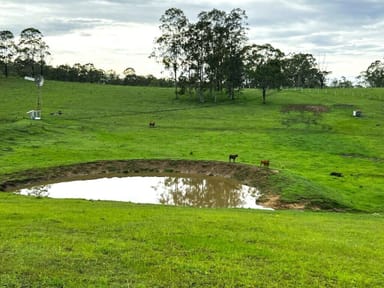 Property 790 Mongogarie Road, Casino NSW 2470 IMAGE 0