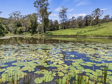 Property 423 Top Forestry Road, Ridgewood Qld 4563 IMAGE 0