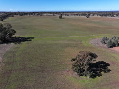 Property 71 Rmaiala Road, Eumungerie NSW 2822 IMAGE 0