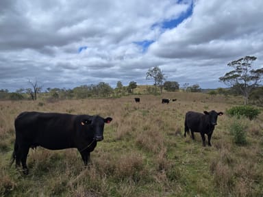 Property Lot 400 Schick Road, Thornville QLD 4352 IMAGE 0