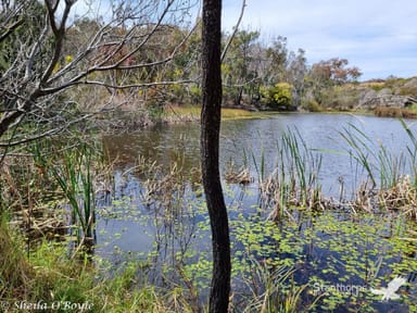 Property 232 Townsend Road, GLEN APLIN QLD 4381 IMAGE 0