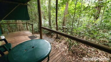 Property 161 Buchanan Creek Road, Cow Bay QLD 4873 IMAGE 0