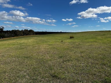 Property 649 LONIES ROAD, SHELFORD VIC 3329 IMAGE 0