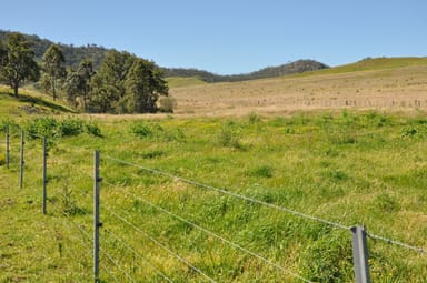 Property Rouchel Gap Rd Rouchel Gap Rd, Mccullys Gap NSW 2333 IMAGE 0