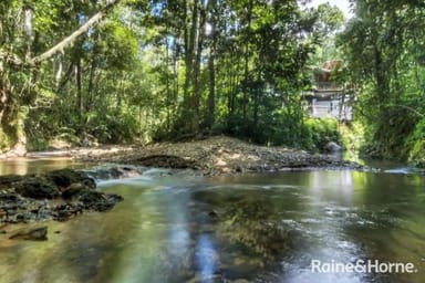 Property 472 Buchanan Creek Road, Cow Bay, DAINTREE QLD 4873 IMAGE 0