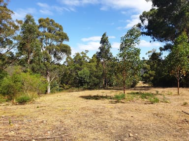 Property Lot 5 Liddells Road, CRABTREE TAS 7109 IMAGE 0