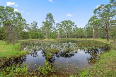 Property 46 Old Coach Road, Limeburners Creek NSW 2324 IMAGE 0