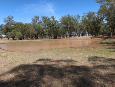 Property 20 Campbells Lane, Coolamon NSW 2701 IMAGE 0