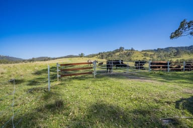 Property 659 Bakers Creek Road, GLOUCESTER NSW 2422 IMAGE 0