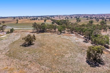 Property CA 168 Part 821 Barkly-Navarre Rd, Navarre VIC 3384 IMAGE 0