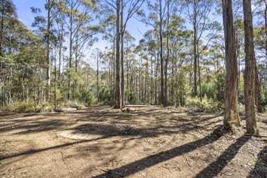 Property 1, Huon Highway, GLENDEVIE TAS 7109 IMAGE 0