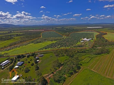 Property 44 Carman Road, Mareeba QLD 4880 IMAGE 0